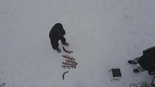 Зимняя рыбалка в 17 км от Москвы. Пробуем поймать щуку и форель!