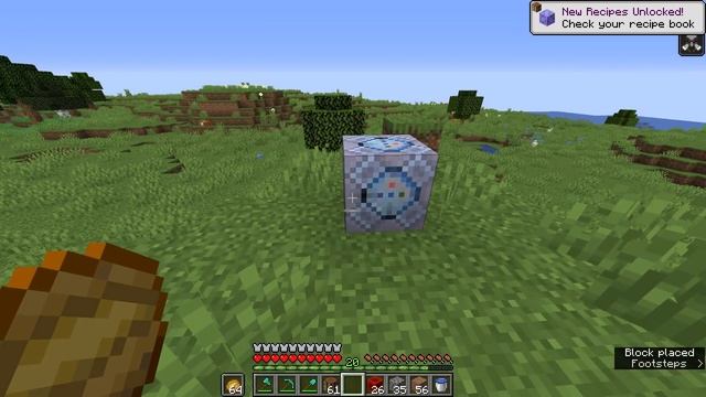 Minecraft, But There Are Custom Command Blocks...