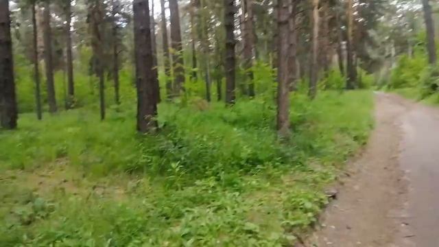 Ищет закладку