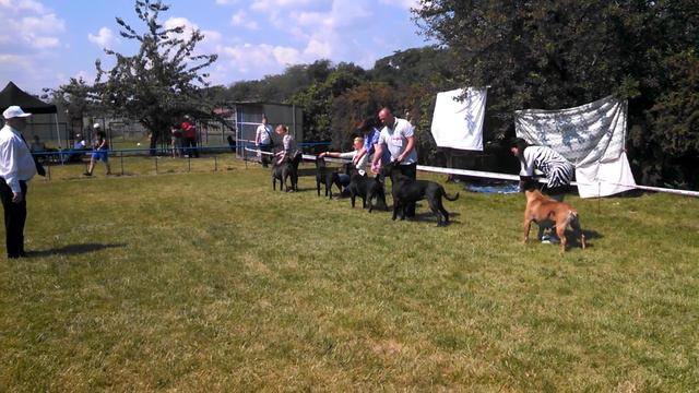 Ce7a97fa89c5de67db256072dfbab366