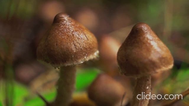 Relax Sounds For Sleep, Meditation (Релаксуюча музика для сну та медитації)(Звуки води)