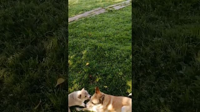 8 августа 2021 г.