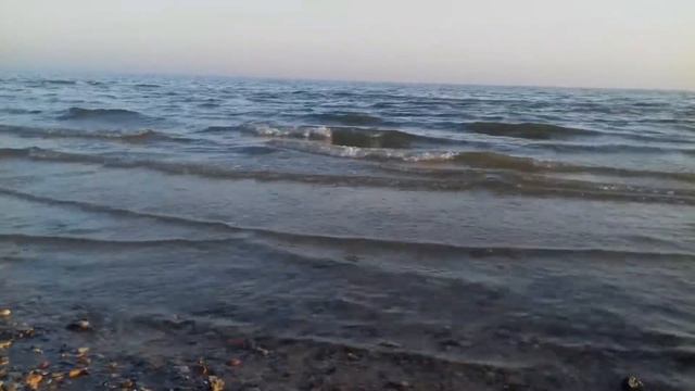 ДОМ #М.ТАНИЧА  в #Таганроге 22.03.22 #Море, хорошая теплая погода
