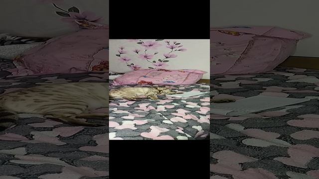 Df2be892cda5dc6b087bc773b82239b0