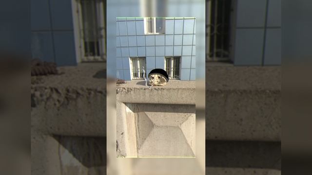 Грустный хлеб лежит под пост-панк