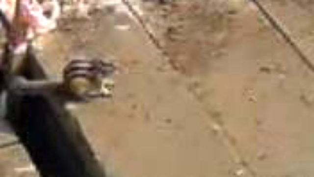 6b07cbc73f8970b4e7f9c20026aa384f