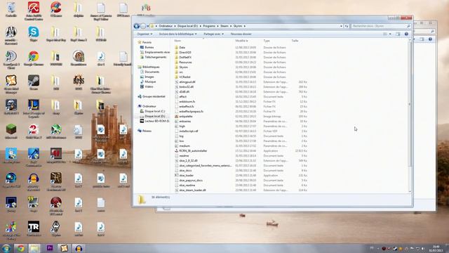 Skyrim Script Extender (SKSE): Installation Et Informations
