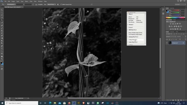 Photography Editing On Adobe Photoshop : See The Final Photo Before Shoot ( 08.07.2021 )