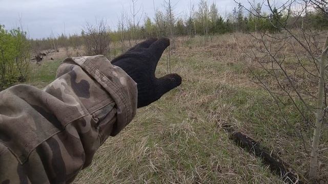 ПЕСНЬ MANTICORE