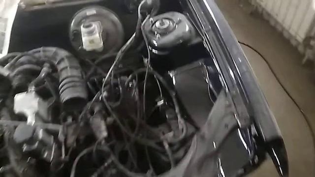 Доступный стиль жизни