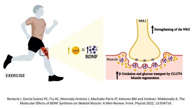 ЭФФЕКТИВНЫЙ СПОСОБ ПОВЫСИТЬ УРОВЕНЬ ВИТАМИНА D БЕЗ ТАБЛЕТОК