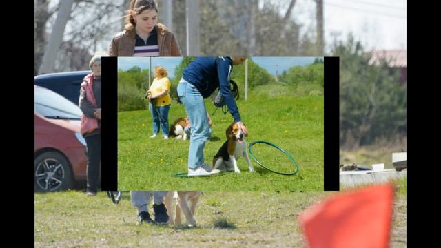 A6b3ec5ee270f7aece8ad47e22380a1f