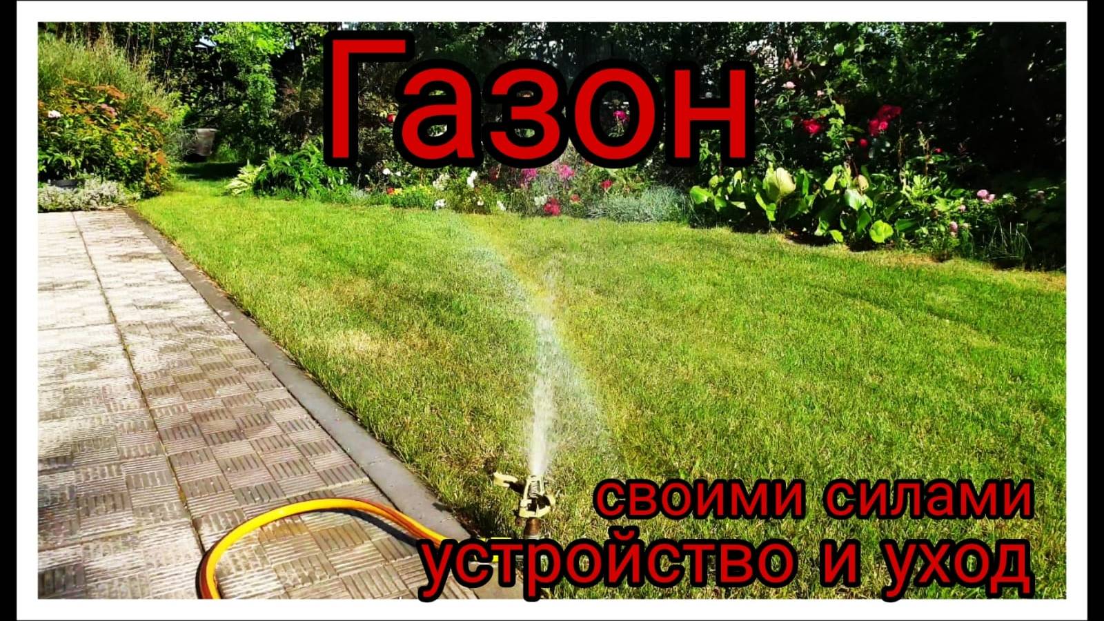 Газон своими силами