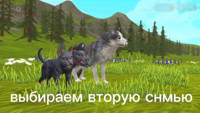 Как получить скин из Wild Club или мист/баг