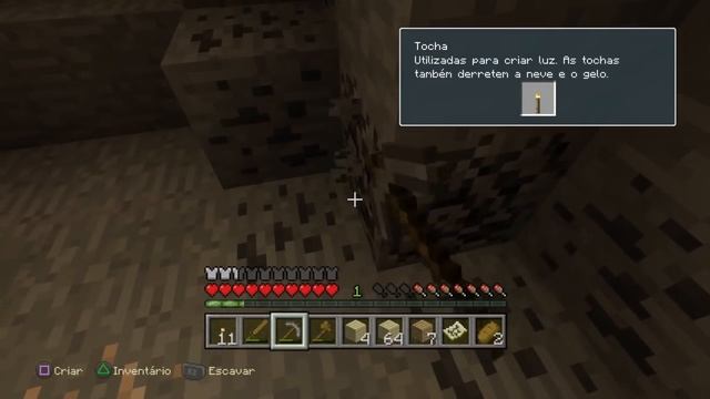 Minecraft: PlayStation #2 Nova Série