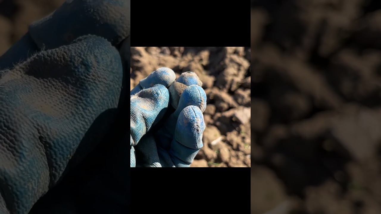 Находки прямо на поверхности, часть бубенчика #deus #metaldetecting #металлоискатель