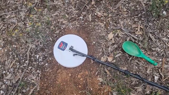 Minelab GPX 6000 Gold Nuggets First Day Out