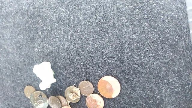 находки с пляжа. возле берега