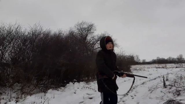 Охота с ружьём на фазана