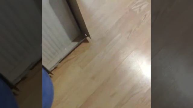 Пылесос своими руками, циклон ,двайная защита от пыли