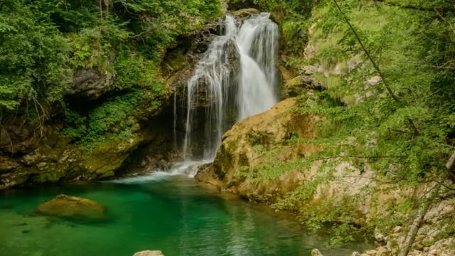 480db766f56f438cffb378fe761d6cb6