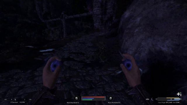 Let’s Play Wildlander Part 2 (Necromancer)
