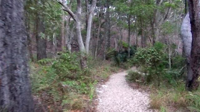Австралия - Озеро Вабби. В поисках Динго. Песчаные Дюны. Остров Фрейзер / Australia - Wabby Lake