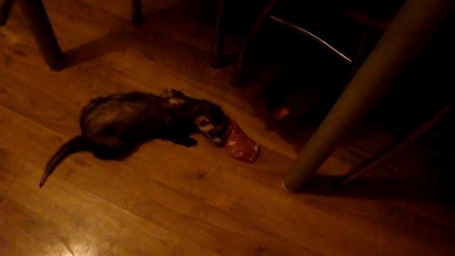 8668c4bbce7c97820b0980a2b08058f5