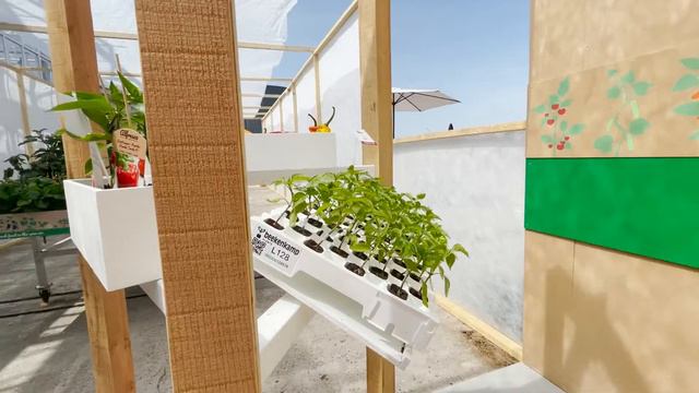 Aftermovie United Colours Of Beekenkamp 🌈