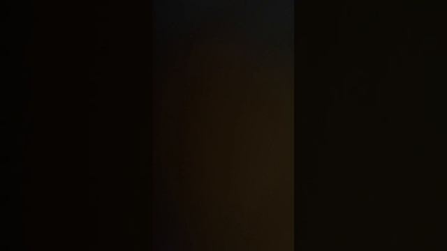 не мешайте мертвым хоронить своих мертвых