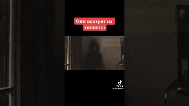 они смотрят из темноты