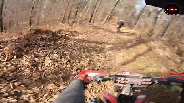 HONDA CRF 450 R - 3 Minutes Dirt Bike Forest Run  RAW 