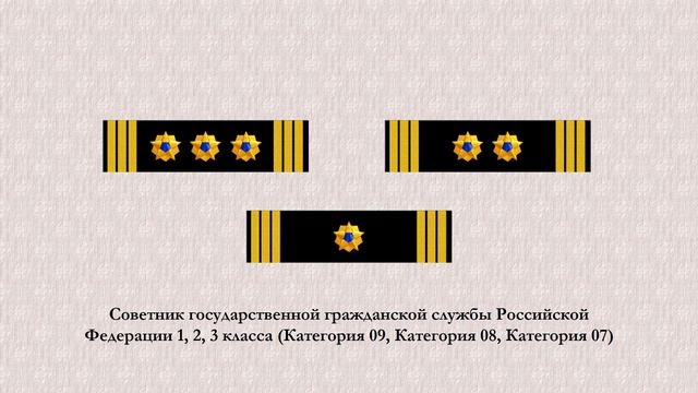 Федеральное агентство по рыболовству Российской Федерации. Нагрудные нашивки классного чина