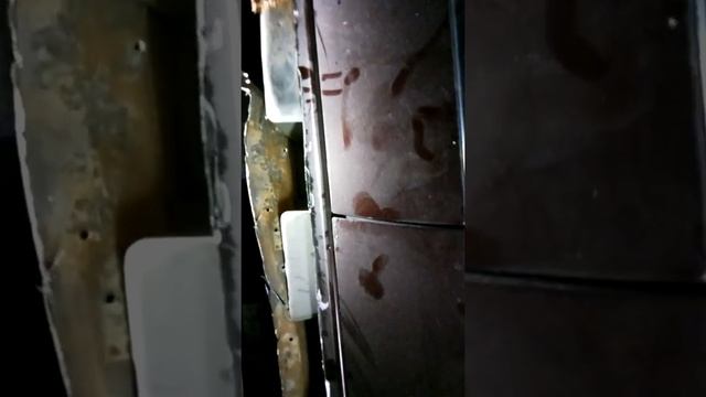 Вдохновение в каждом углу