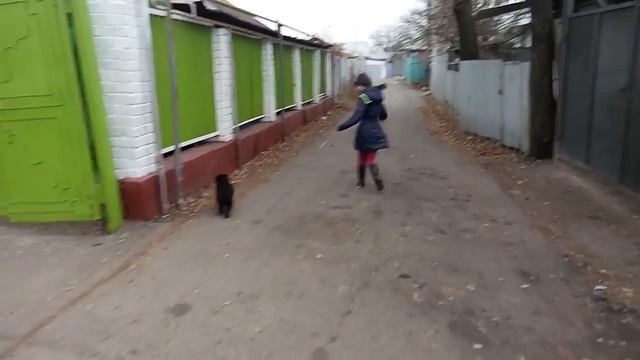 Прогулка с Барсиком когда ему было 2 месяца