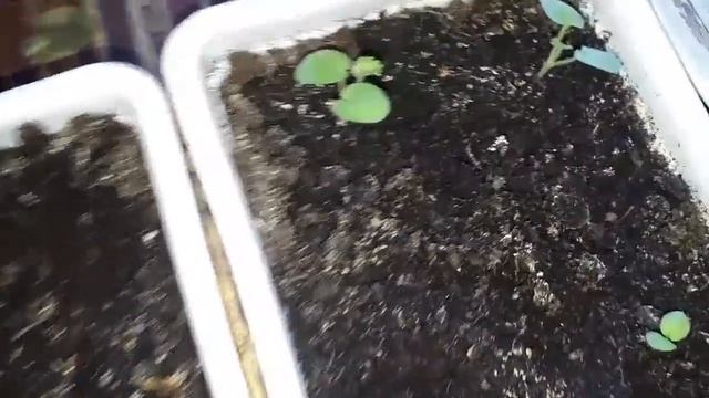 6ee1d54a7c051593c10aea4790627af7