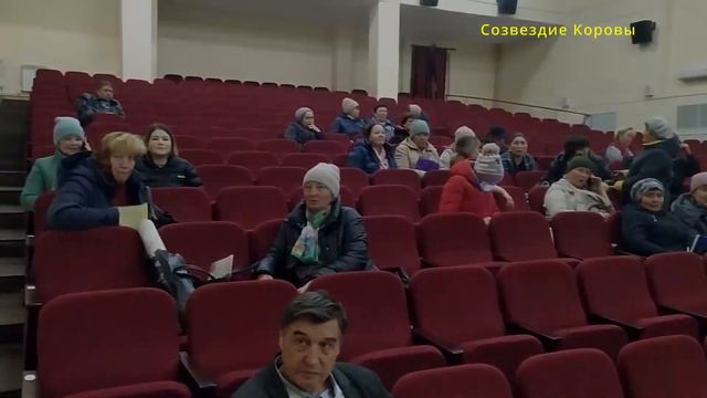 Семинар в РДК. Первая роль. Приют для животных.