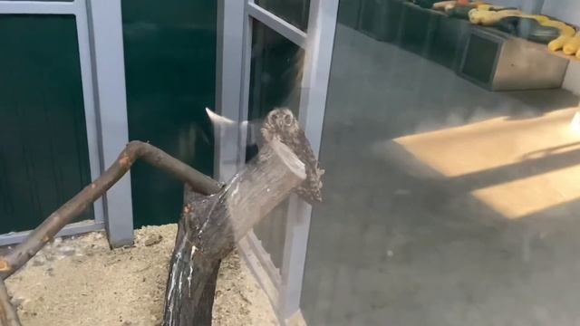 1b47eb03cb26addf047f3a24b1f878d2