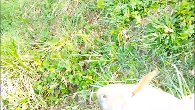 Открытие сезона