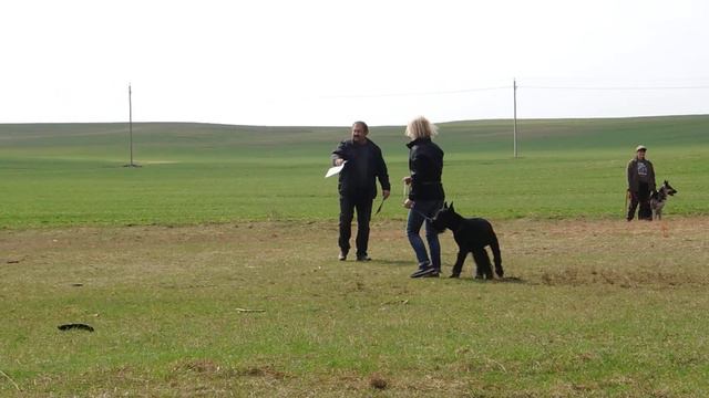 СКМ 3 лига 21.04.2018