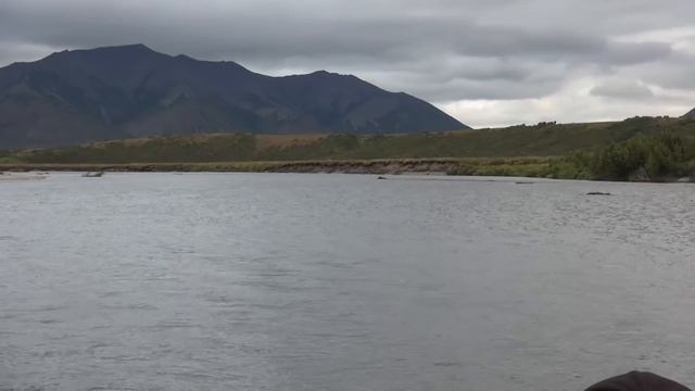 ЛЕДЯНАЯ часть 7