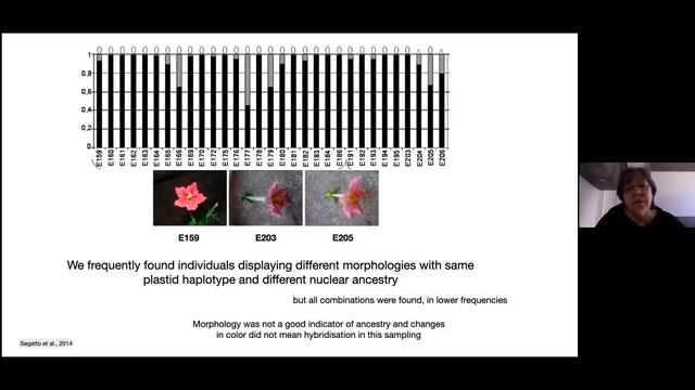 Loreta Freitas - Magnificent Wild Petunias: Their Evolutionary History And Genetic Diversity