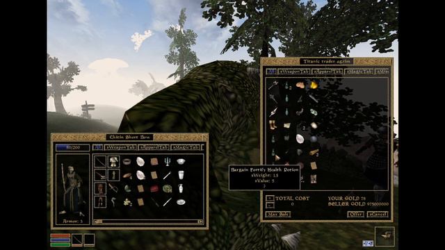 Holly Saves Morrowind, Part 2: A Short Trip To Pelgiad