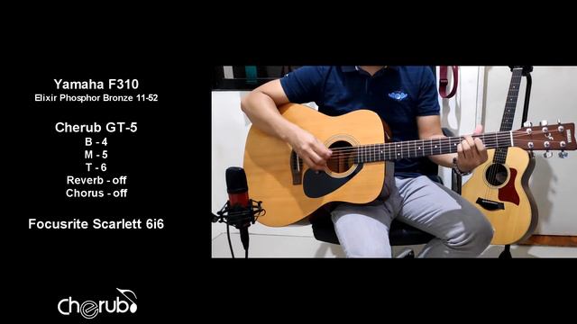 Cherub G-Tone GT-5.. Amazing pickup for the money!