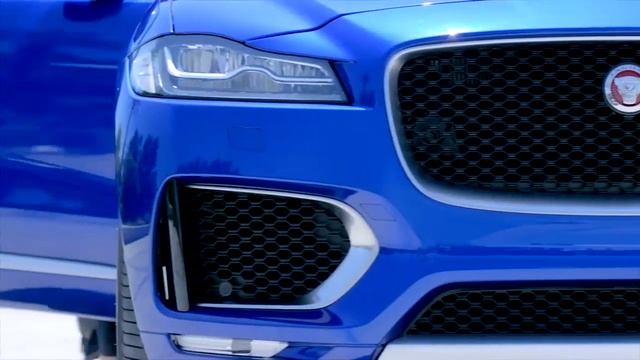 Автомобильное настроение