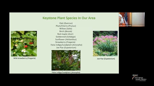 Restoring Our Environment One Plant At A Time