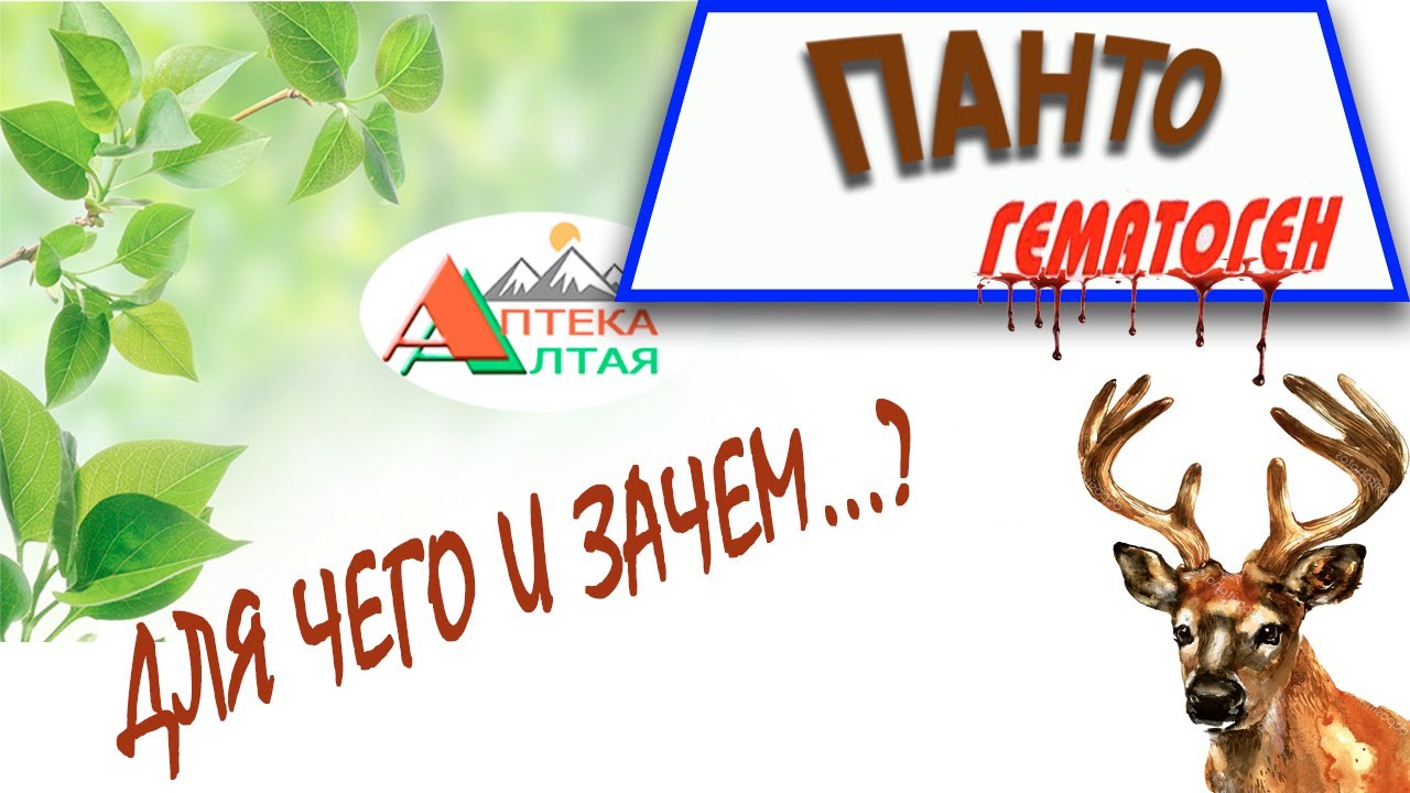 Что такое пантогематоген.