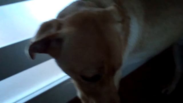 E036c64c16a381f9f66e1214ee6c8b0d