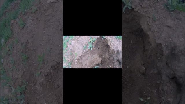 60280a36b64f7abb151d49fc26c6ae40