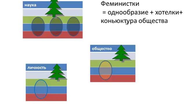 Раскол в мэносфере как следствие общественных явлений 1